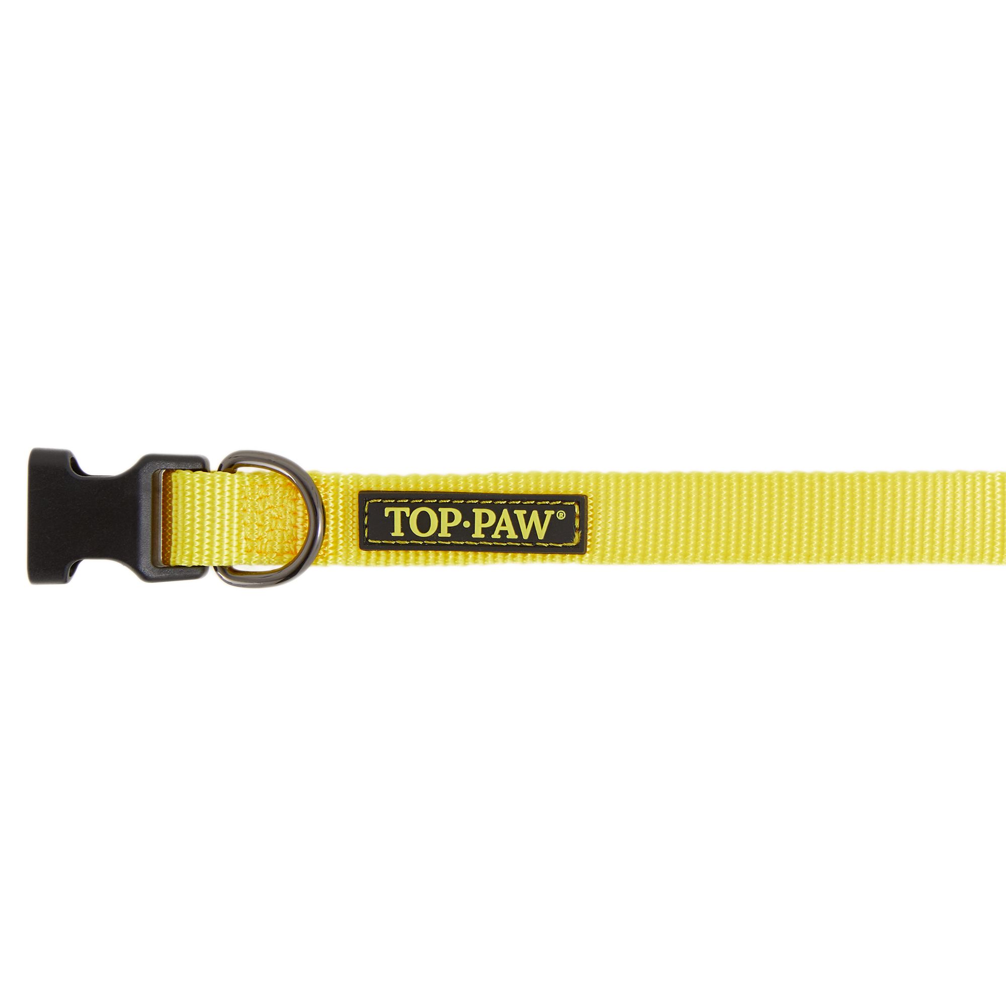 Top Paw Yellow and Pink Ombre Polyester Dog Collar, Size: Large | PetSmart