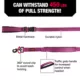 Product KONG® Hands-Free Dog Leash: 6-ft long