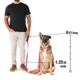 Product KONG® Shock Absorbing Hands-Free Dog Leash: 6-ft long