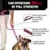 KONG® Shock Absorbing, Hands-Free, Dog Leash, 6-ft long image thumbnail 3