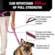 Product KONG® Shock Absorbing Hands-Free Dog Leash: 6-ft long