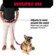 Product KONG® Shock Absorbing Hands-Free Dog Leash: 6-ft long
