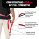 Product KONG® Shock Absorbing Hands-Free Dog Leash: 6-ft long