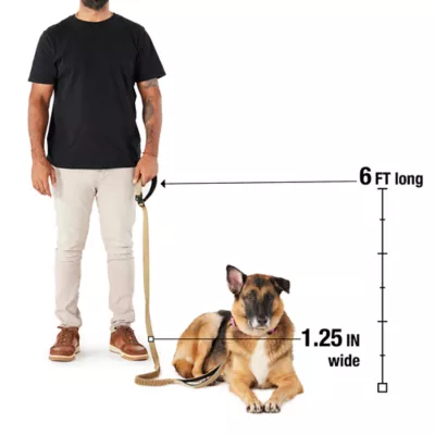 Product KONG® Shock Absorbing Hands-Free Dog Leash: 6-ft long