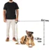 KONG® Shock Absorbing, Hands-Free, Dog Leash, 6-ft long image thumbnail 2
