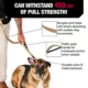 Product KONG® Shock Absorbing Hands-Free Dog Leash: 6-ft long