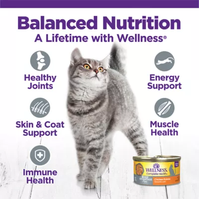 Product Wellness Complete Health Grain Free Senior Wet Cat Food Chicken Recipe 3 Oz