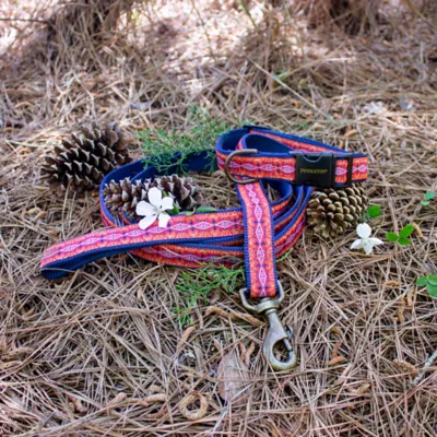 Product Pendleton Diamond River Dog Leash; 6-ft long, 1-in wide