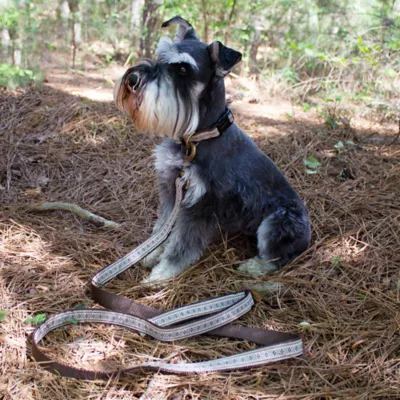 Product Pendleton Westerley Dog Leash; 6-ft long, 1-in wide