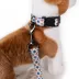Pendleton Falcon Cove Adventure Dog Collar image thumbnail 3