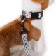 Product Pendleton Falcon Cove Adventure Dog Collar
