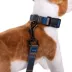 Pendleton Olympic National Park Adventure Dog Collar image thumbnail 3