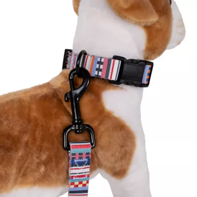 Product Pendleton Tamiami Adventure Dog Collar
