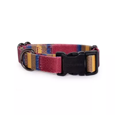 Pendleton Zion National Park Adventure Dog Collar - Image 1