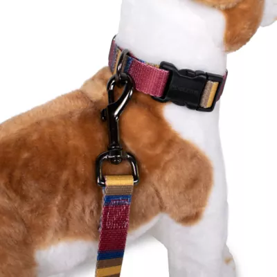 Pendleton Zion National Park Adventure Dog Collar - Image 3