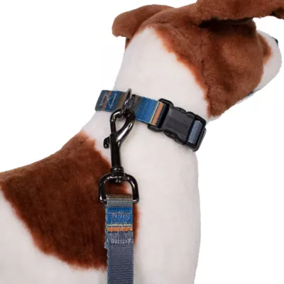 Product Pendleton Olympic National Park Adventure Dog Collar