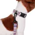 Pendleton Tamiami Adventure Dog Collar image thumbnail 3