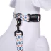Pendleton Falcon Cove Adventure Dog Collar image thumbnail 3