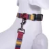 Pendleton Zion National Park Adventure Dog Collar image thumbnail 3