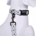 Pendleton Falcon Cove Adventure Dog Collar image thumbnail 3