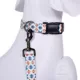 Product Pendleton Falcon Cove Adventure Dog Collar