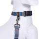 Product Pendleton Olympic National Park Adventure Dog Collar