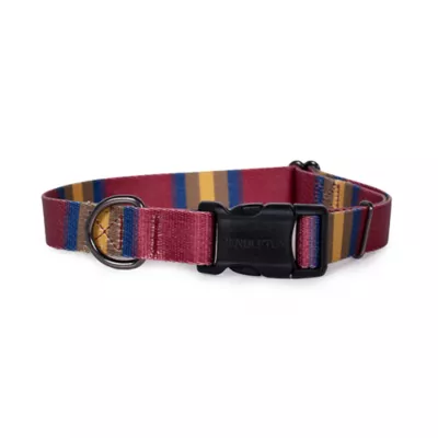 Product Pendleton Zion National Park Adventure Dog Collar