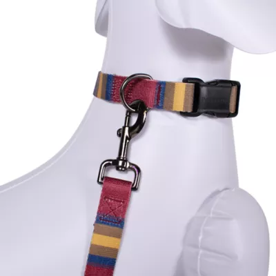 Product Pendleton Zion National Park Adventure Dog Collar