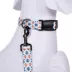 Pendleton Falcon Cove Adventure Dog Leash; 6-ft long image thumbnail 3