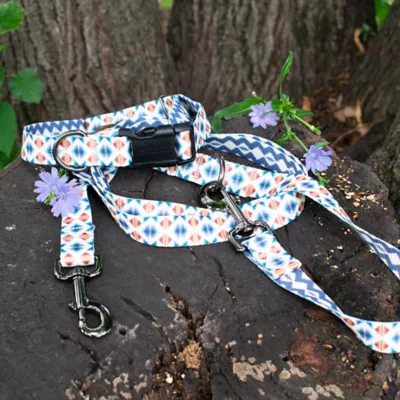 Product Pendleton Falcon Cove Adventure Dog Leash; 6-ft long