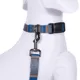 Product Pendleton Olympic National Park Adventure Dog Leash; 6-ft long