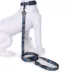 Pendleton Olympic National Park Adventure Dog Leash; 6-ft long image thumbnail 4
