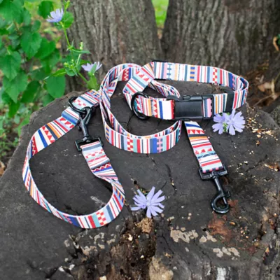 Product Pendleton Tamiami Adventure Dog Leash: 6-ft long