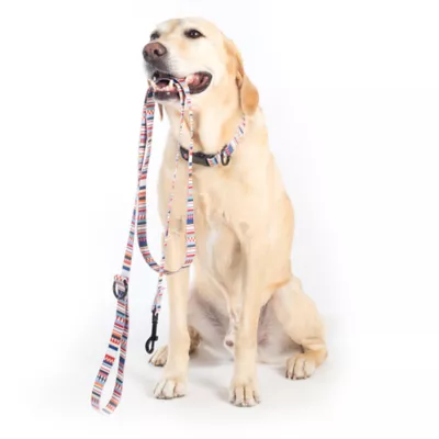 Product Pendleton Tamiami Adventure Dog Leash: 6-ft long