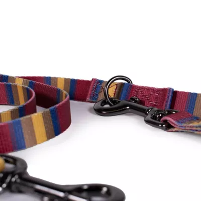 Product Pendleton Zion National Park Adventure Dog Leash; 6-ft long