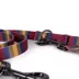 Pendleton Zion National Park Adventure Dog Leash; 6-ft long image thumbnail 2