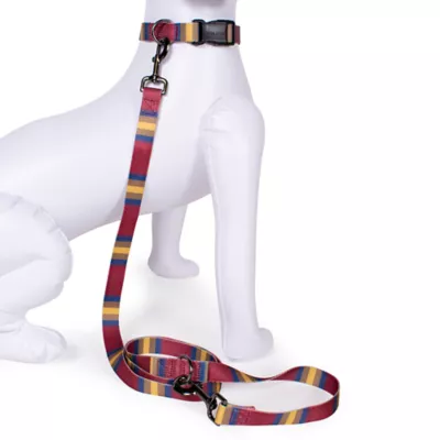 Product Pendleton Zion National Park Adventure Dog Leash; 6-ft long