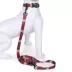 Pendleton Zion National Park Adventure Dog Leash; 6-ft long image thumbnail 3
