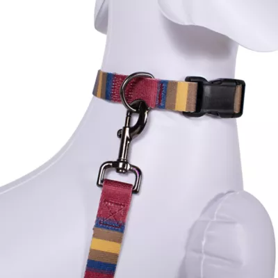Product Pendleton Zion National Park Adventure Dog Leash; 6-ft long