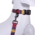 Pendleton Zion National Park Adventure Dog Leash; 6-ft long image thumbnail 4