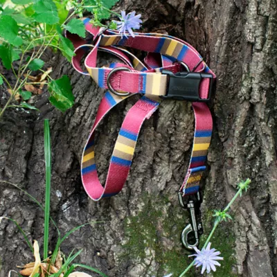 Product Pendleton Zion National Park Adventure Dog Leash; 6-ft long