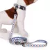 Pendleton Falcon Cove Adventure Dog Leash; 6-ft long image thumbnail 4