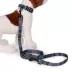 Pendleton Olympic National Park Adventure Dog Leash; 6-ft long image thumbnail 4