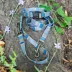 Pendleton Olympic National Park Adventure Dog Leash; 6-ft long image thumbnail 5