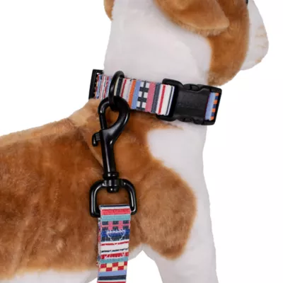 Product Pendleton Tamiami Adventure Dog Leash: 6-ft long