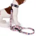 Pendleton Tamiami Adventure Dog Leash: 6-ft long image thumbnail 4
