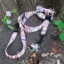 Pendleton Tamiami Adventure Dog Leash: 6-ft long image thumbnail 5