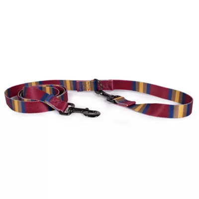 Product Pendleton Zion National Park Adventure Dog Leash; 6-ft long