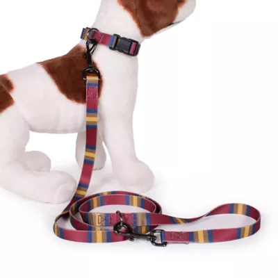 Product Pendleton Zion National Park Adventure Dog Leash; 6-ft long