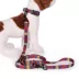 Pendleton Zion National Park Adventure Dog Leash; 6-ft long image thumbnail 3